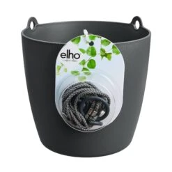 Brussels Hanging Basket 18cm -Plant Sale Store Brussels hangschaal zwart