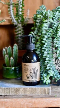 Vegan Cactus & Succulent Food Gift Box -Plant Sale Store D8355092 6861 415B 9B5F 33BB5CF43D5E 1 201 a 9c5a7ce4 299e 4002 9e2f 1b21641cb97f