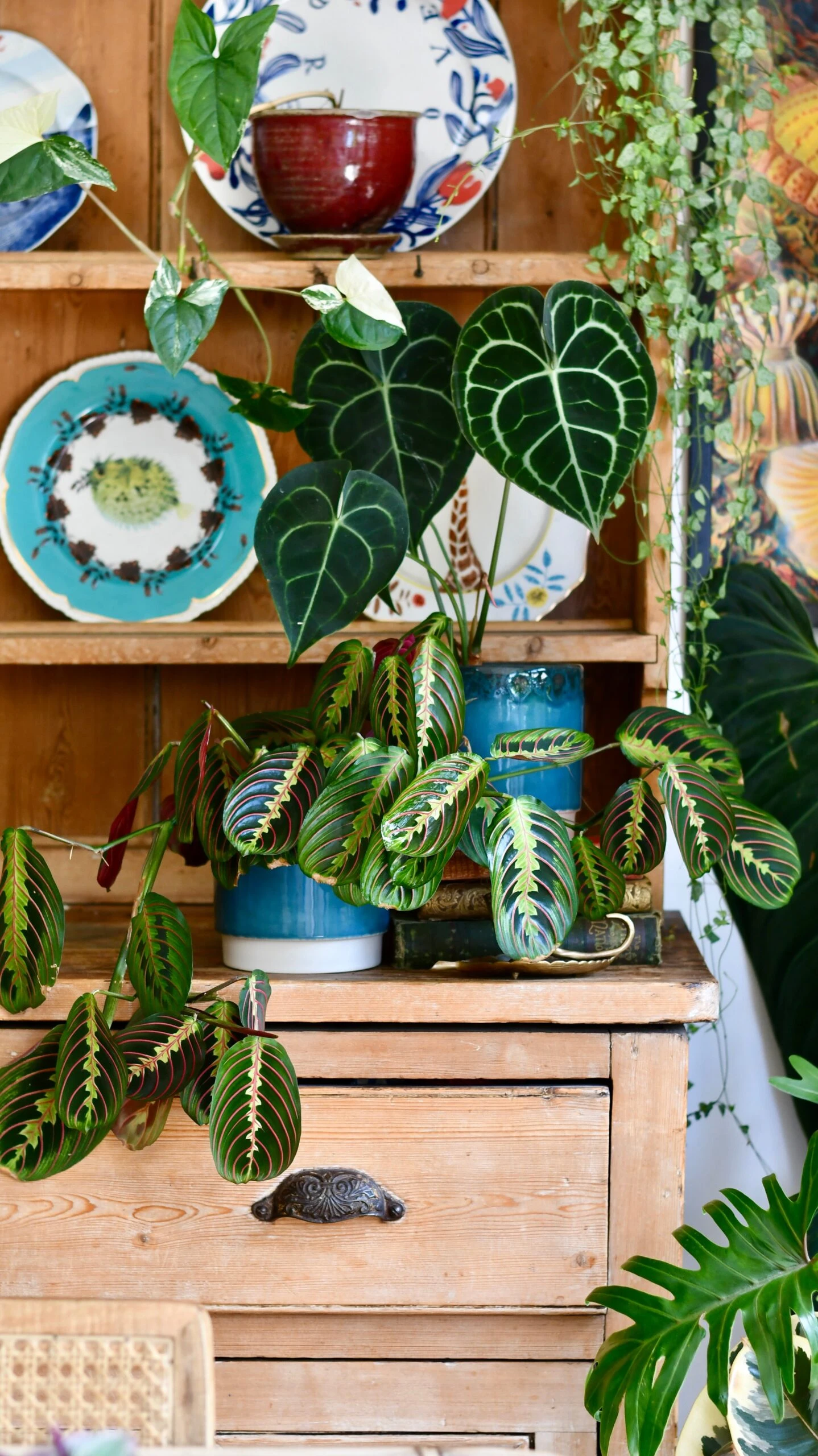 Aqua Reactive Planter (Aqua 13cm Plant Pot) 5 Aqua Reactive Planter (Aqua 13cm Plant Pot) - Image 5