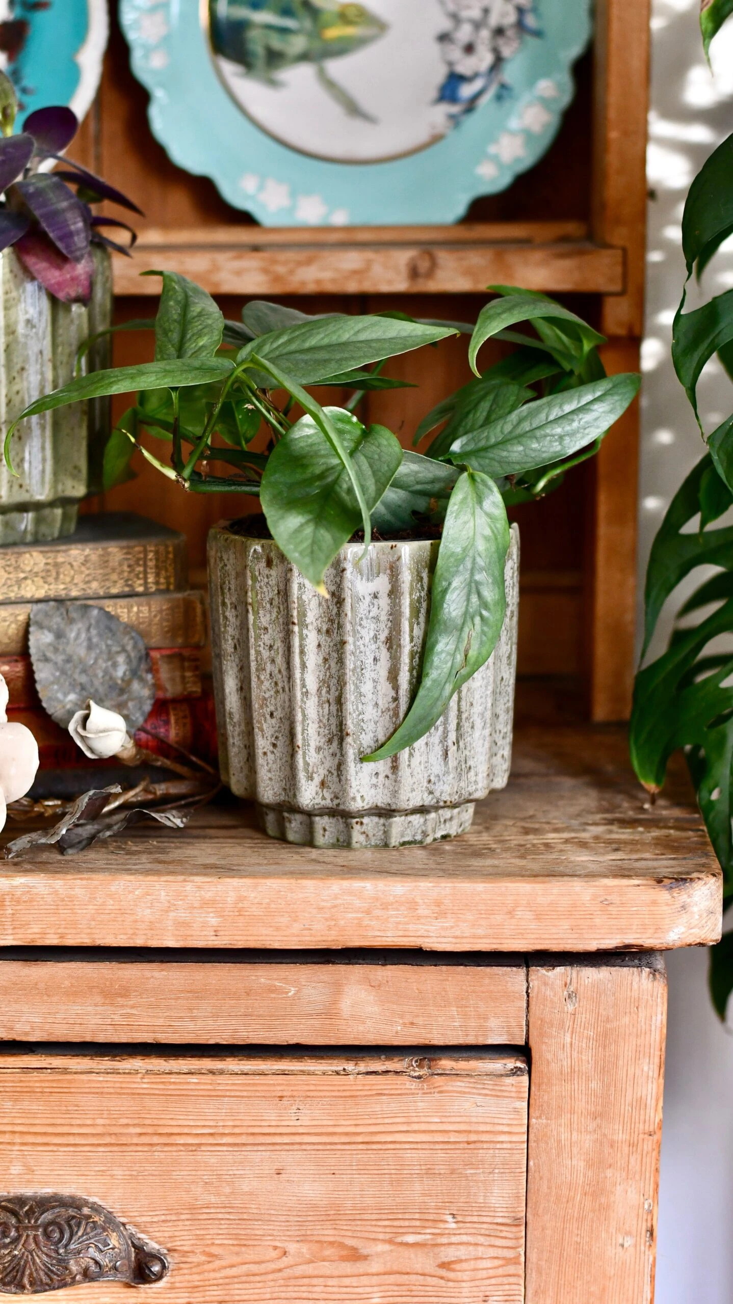 Lugano Scalloped Green Reactive Planter (13cm Plant Pot) 6 Lugano Scalloped Green Reactive Planter (13cm Plant Pot) - Image 6