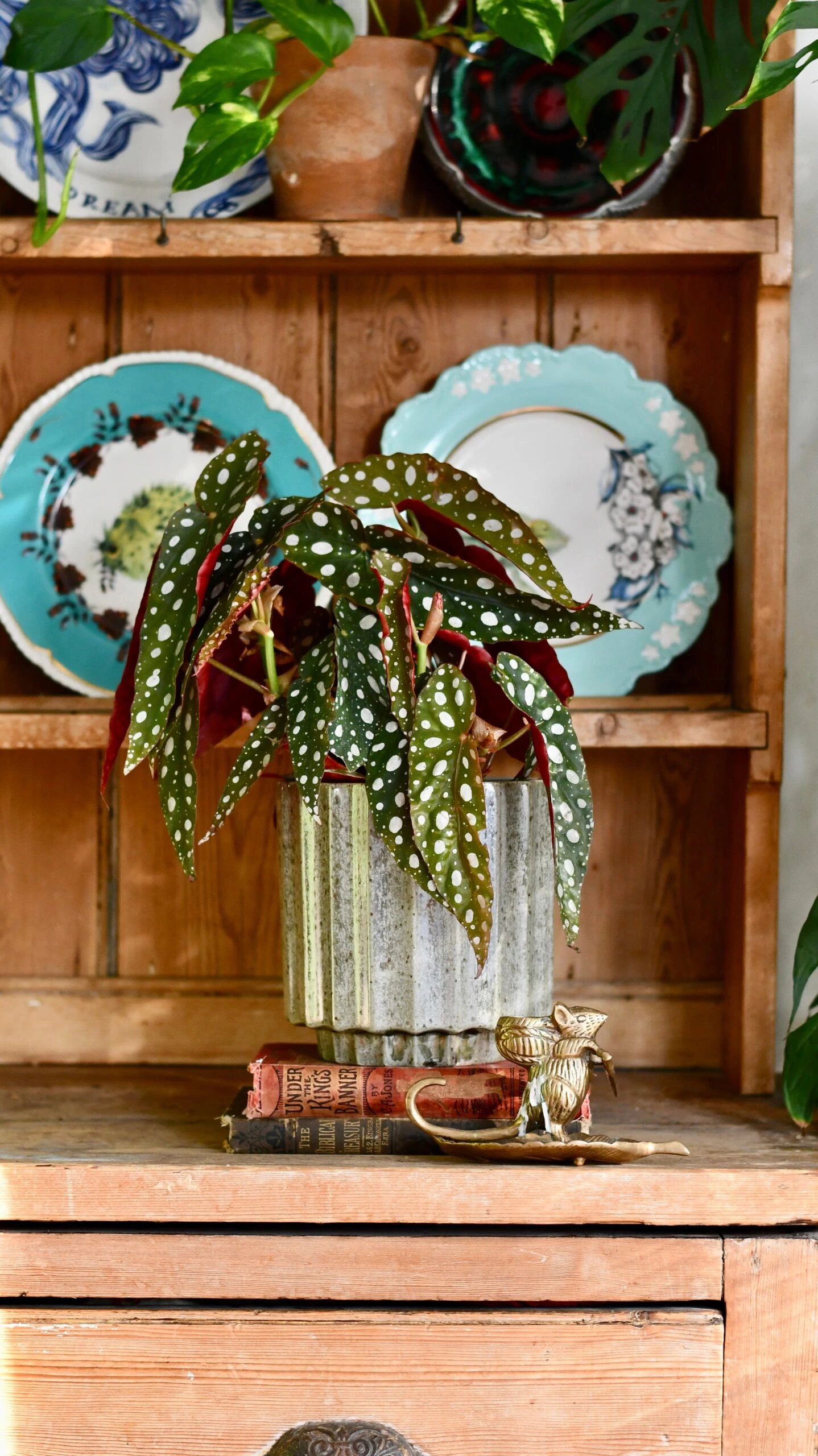 Lugano Scalloped Green Reactive Planter (16cm Plant Pot) 2 Lugano Scalloped Green Reactive Planter (16cm Plant Pot) - Image 2