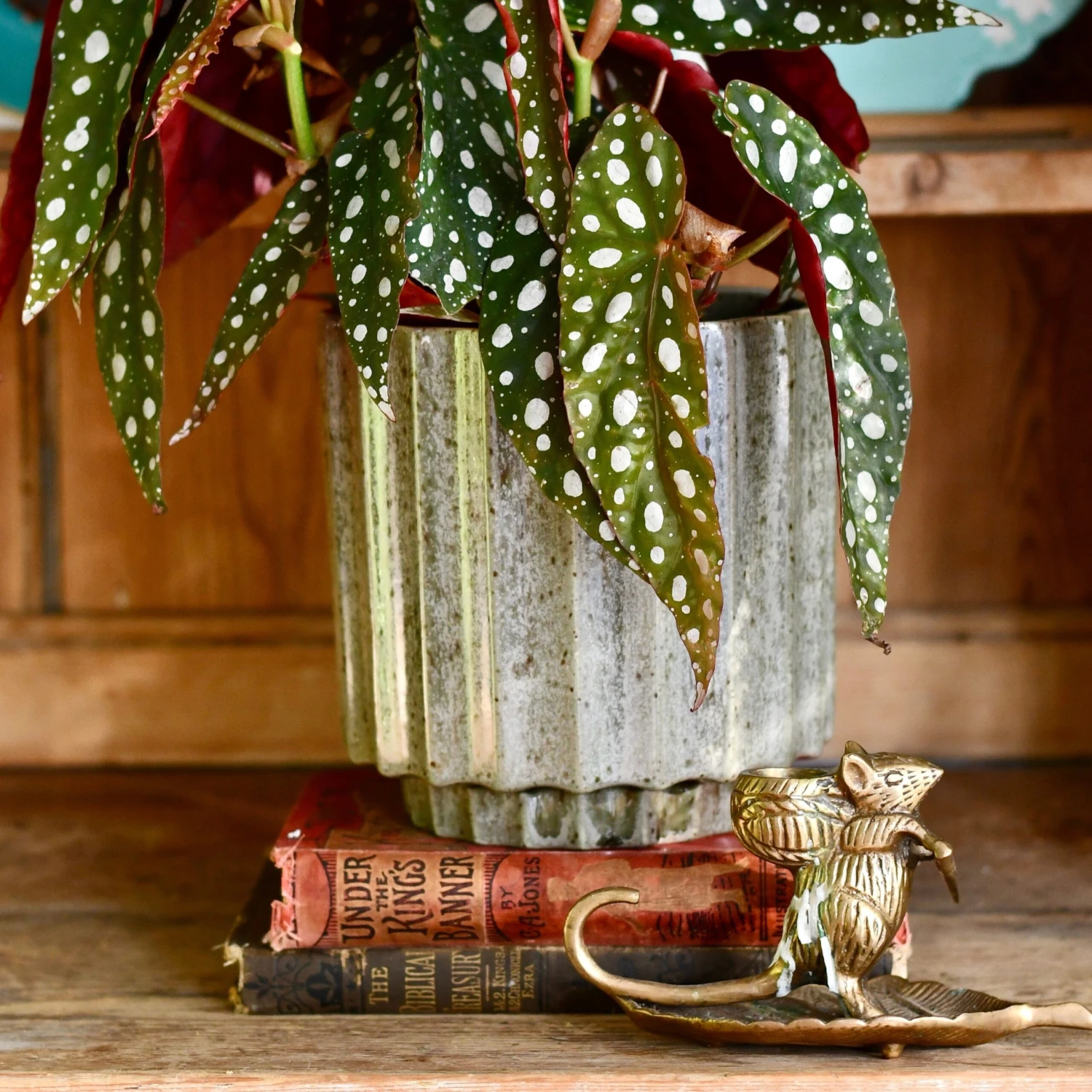 Lugano Scalloped Green Reactive Planter (16cm Plant Pot) 1 Lugano Scalloped Green Reactive Planter (16cm Plant Pot)