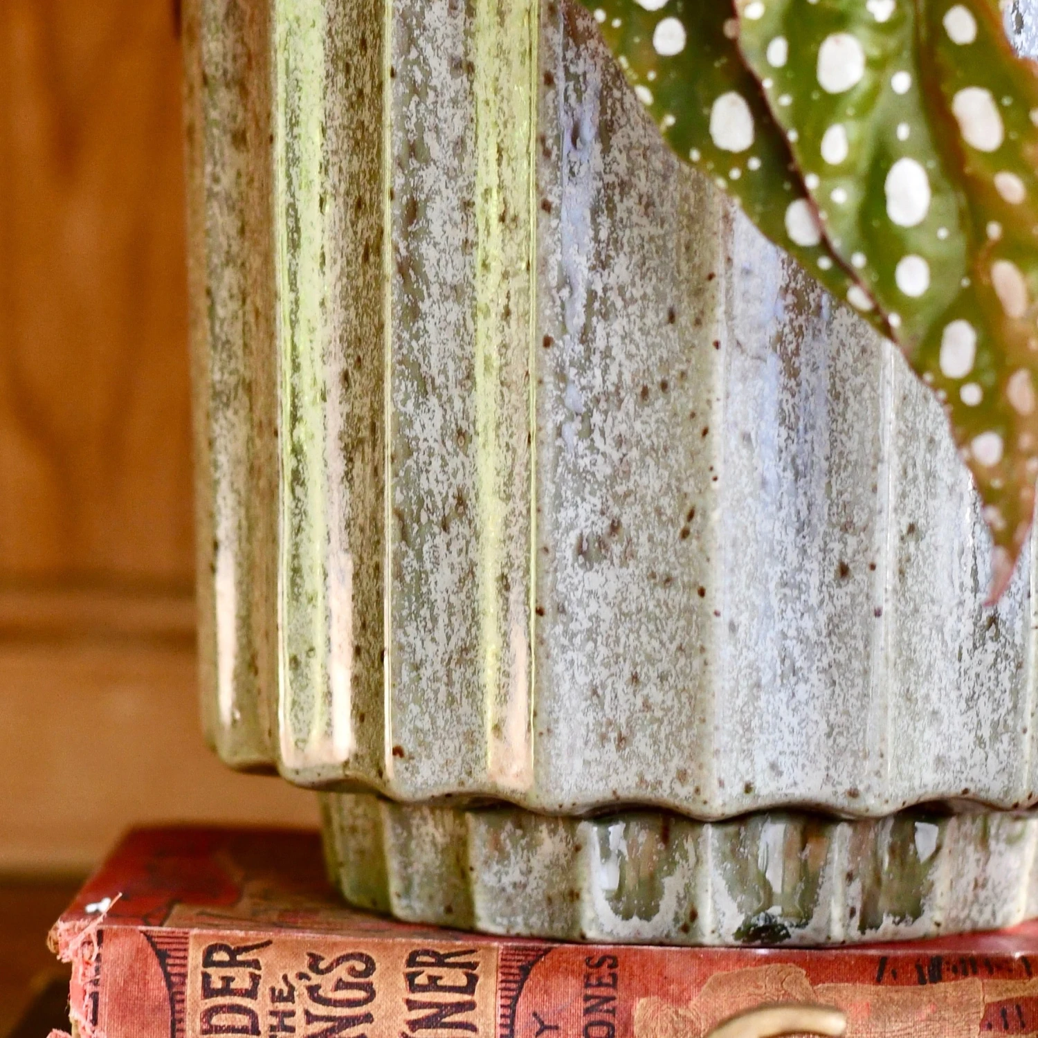 Lugano Scalloped Green Reactive Planter (13cm Plant Pot) 1 Lugano Scalloped Green Reactive Planter (13cm Plant Pot)