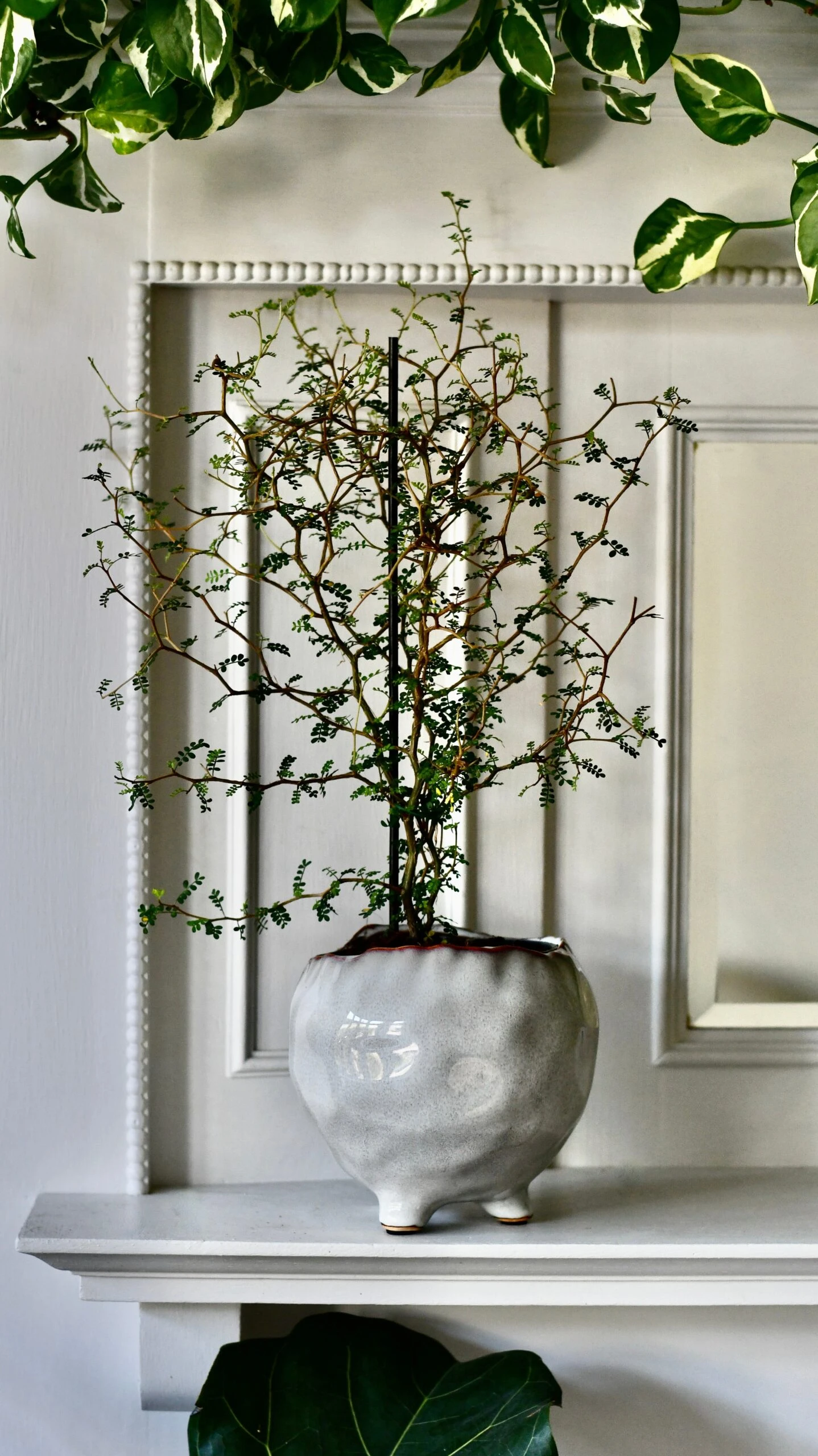 Japandi Ceramic Glaze Indoor Plant Pot (10cm Pot) 2 Japandi Ceramic Glaze Indoor Plant Pot (10cm Pot) - Image 2