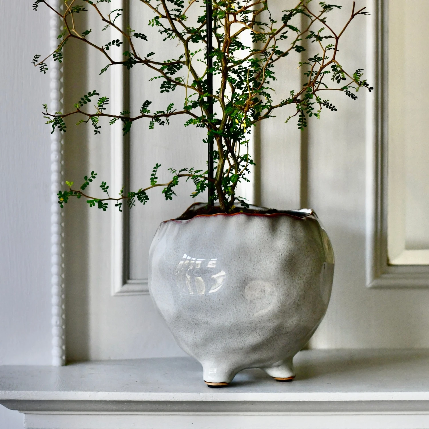Japandi Ceramic Glaze Indoor Plant Pot (10cm Pot) 1 Japandi Ceramic Glaze Indoor Plant Pot (10cm Pot)