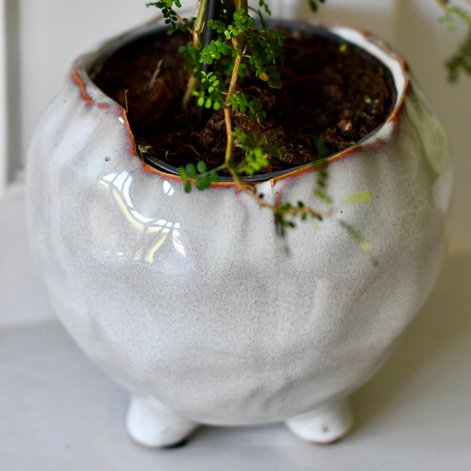 Japandi Ceramic Glaze Indoor Plant Pot (10cm Pot) 4 Japandi Ceramic Glaze Indoor Plant Pot (10cm Pot) - Image 4