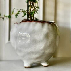 Japandi Ceramic Glaze Indoor Plant Pot (10cm Pot) 7 Japandi Ceramic Glaze Indoor Plant Pot (10cm Pot) -Plant Sale Store DSC 1671
