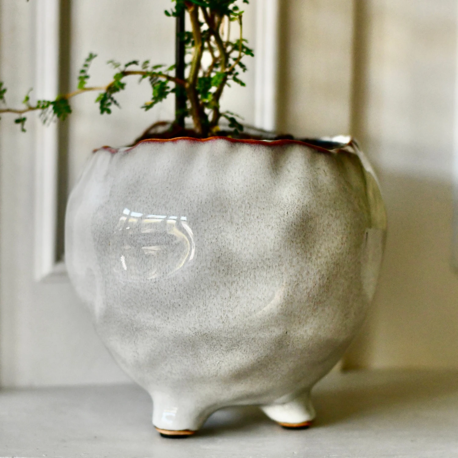 Japandi Ceramic Glaze Indoor Plant Pot (10cm Pot) 3 Japandi Ceramic Glaze Indoor Plant Pot (10cm Pot) - Image 3