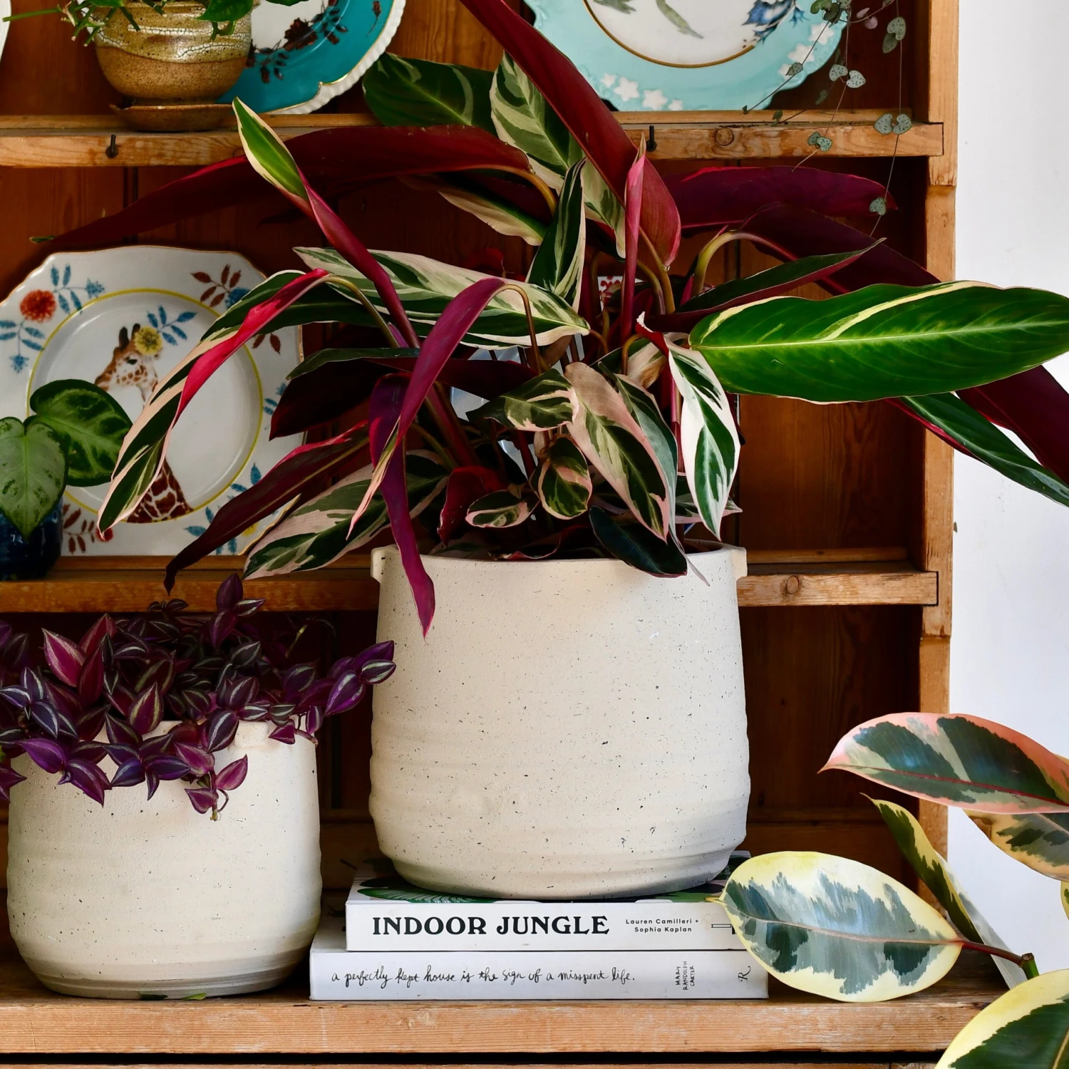 Oat Stoneware Handle Planter (21cm Pot) 1 Oat Stoneware Handle Planter (21cm Pot)