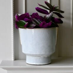 Aries Premium Glaze Handle Planter (14cm Indoor Plant Pot)