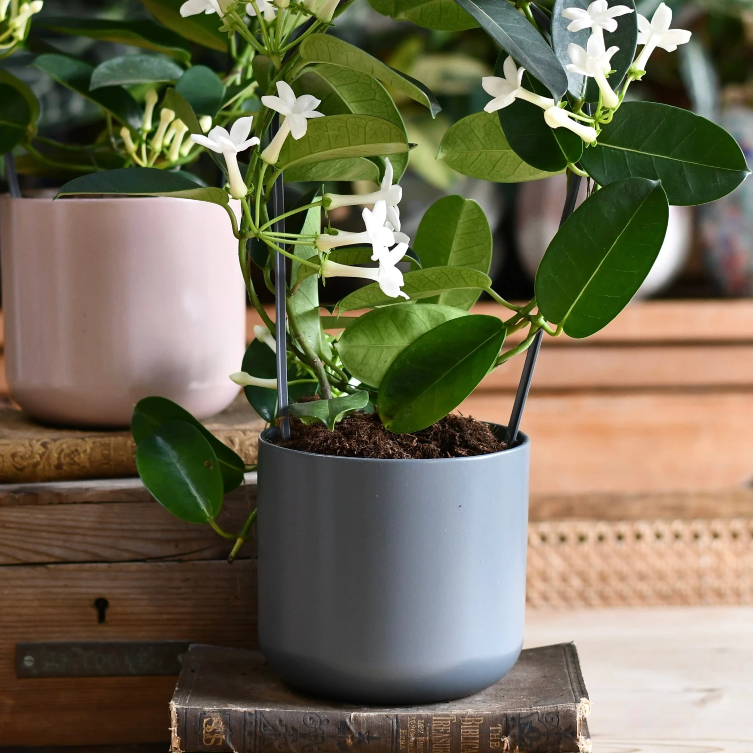 Lisbon Designer Planter Charcoal 15cm 2 Lisbon Designer Planter Charcoal 15cm - Image 2