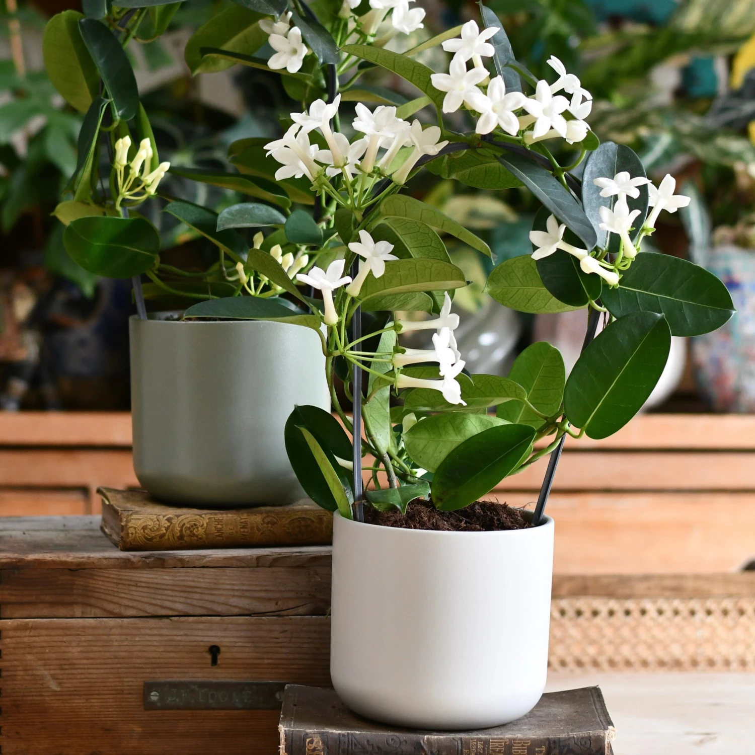 Lisbon Designer Planter Light Grey 18cm 1 Lisbon Designer Planter Light Grey 18cm