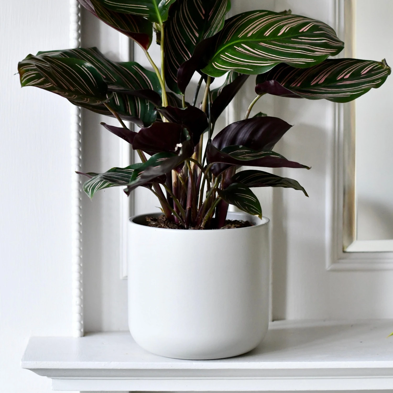 Lisbon Designer Planter Light Grey 18cm 4 Lisbon Designer Planter Light Grey 18cm - Image 4