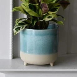 3 Leg Ceramic Reactive Glaze Indoor Plant Pot Mint Aqua (9cm Pot) -Plant Sale Store DSC 2599