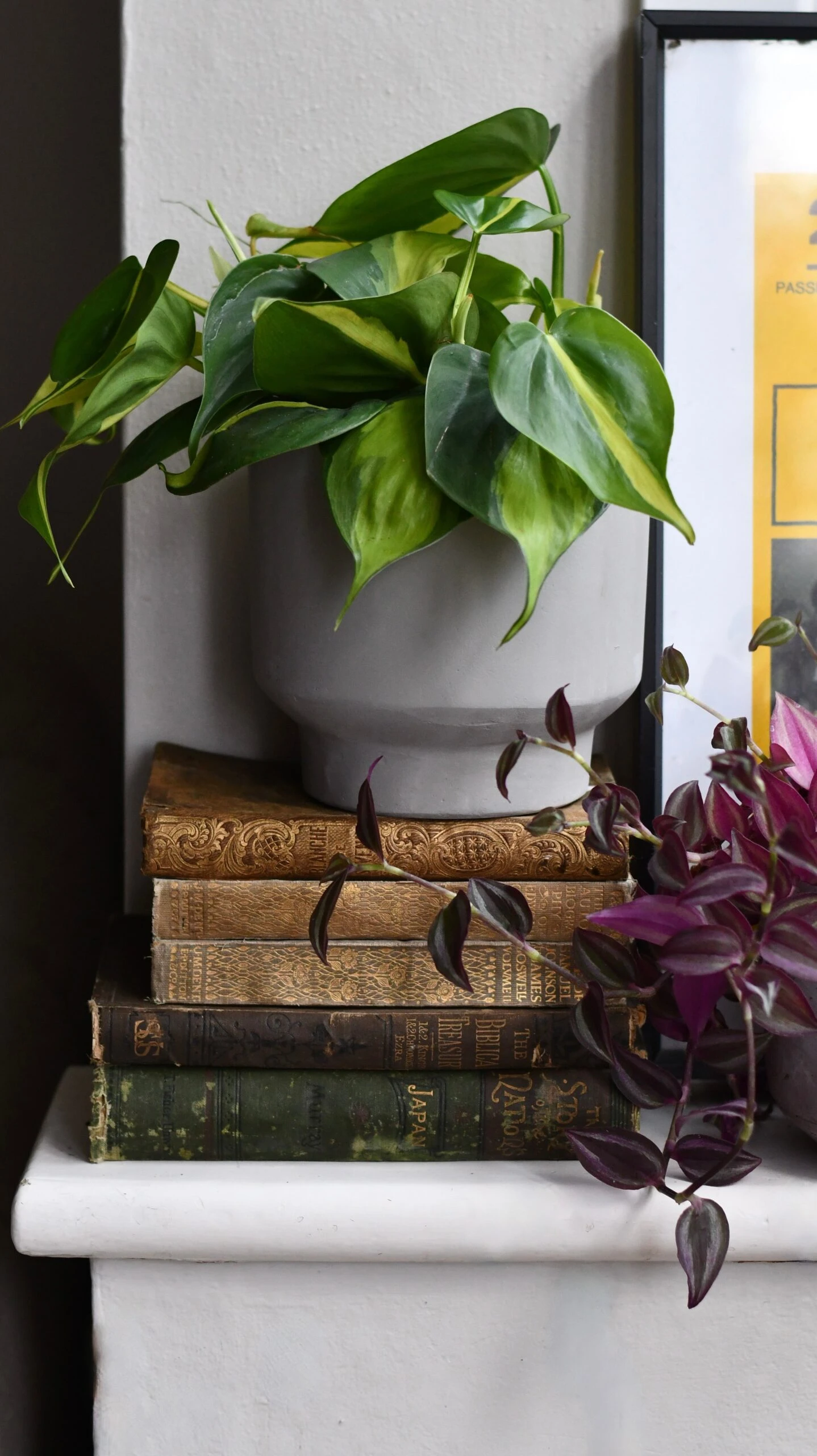 Cement Matt Planter 15cm 3 Cement Matt Planter 15cm - Image 3