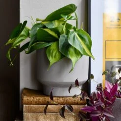 Cement Matt Planter 15cm