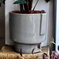 Aries Grey Premium Glaze Handle Planter (14cm Indoor Plant Pot) -Plant Sale Store DSC 2943