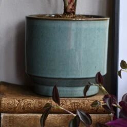 Aqua Premium Glaze Planter (14cm Indoor Plant Pot) -Plant Sale Store DSC 2948