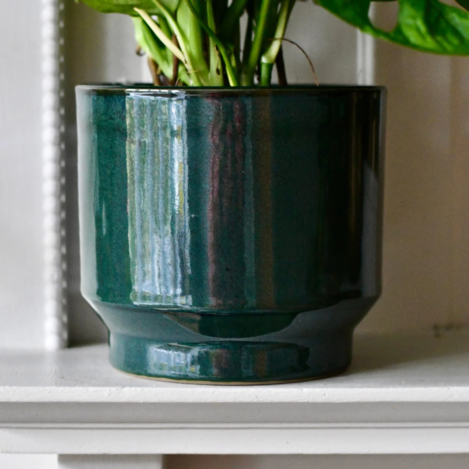 Forest Green Premium Glaze Planter (14cm Indoor Plant Pot) 3 Forest Green Premium Glaze Planter (14cm Indoor Plant Pot) - Image 3