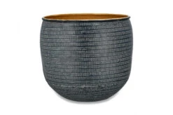 Ficus Microcarpa, Chinese Banyan & Tembesi Pot 11 Ficus Microcarpa, Chinese Banyan & Tembesi Pot -Plant Sale Store TP1603 WB dd7893dd 182f 42f6 93b7 70e3dce44619