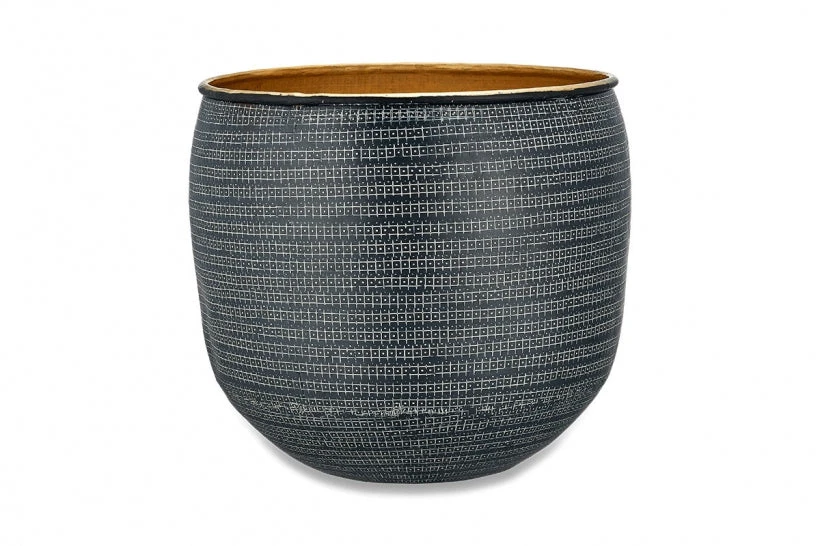 Ficus Microcarpa, Chinese Banyan & Tembesi Pot 6 Ficus Microcarpa, Chinese Banyan & Tembesi Pot - Image 6