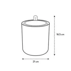 Bouncy Basil Grow Pot Leaf Green 17cm -Plant Sale Store bouncy basil e1 jpg