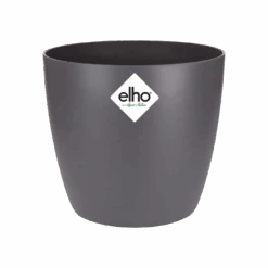 Ficus Golden King & Baby Peperomia Milano Houseplant Gift Set 10 Ficus Golden King & Baby Peperomia Milano Houseplant Gift Set -Plant Sale Store brussels round mini anthracite s1 png 45d5b4b3 94a7 4442 940e 20821ccd0c4f