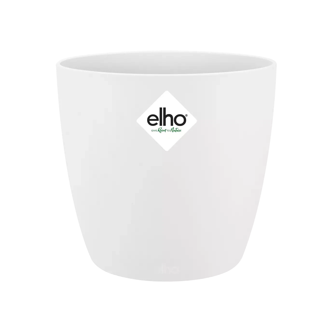 Echeveria Gifting Set 6 Echeveria Gifting Set - Image 6