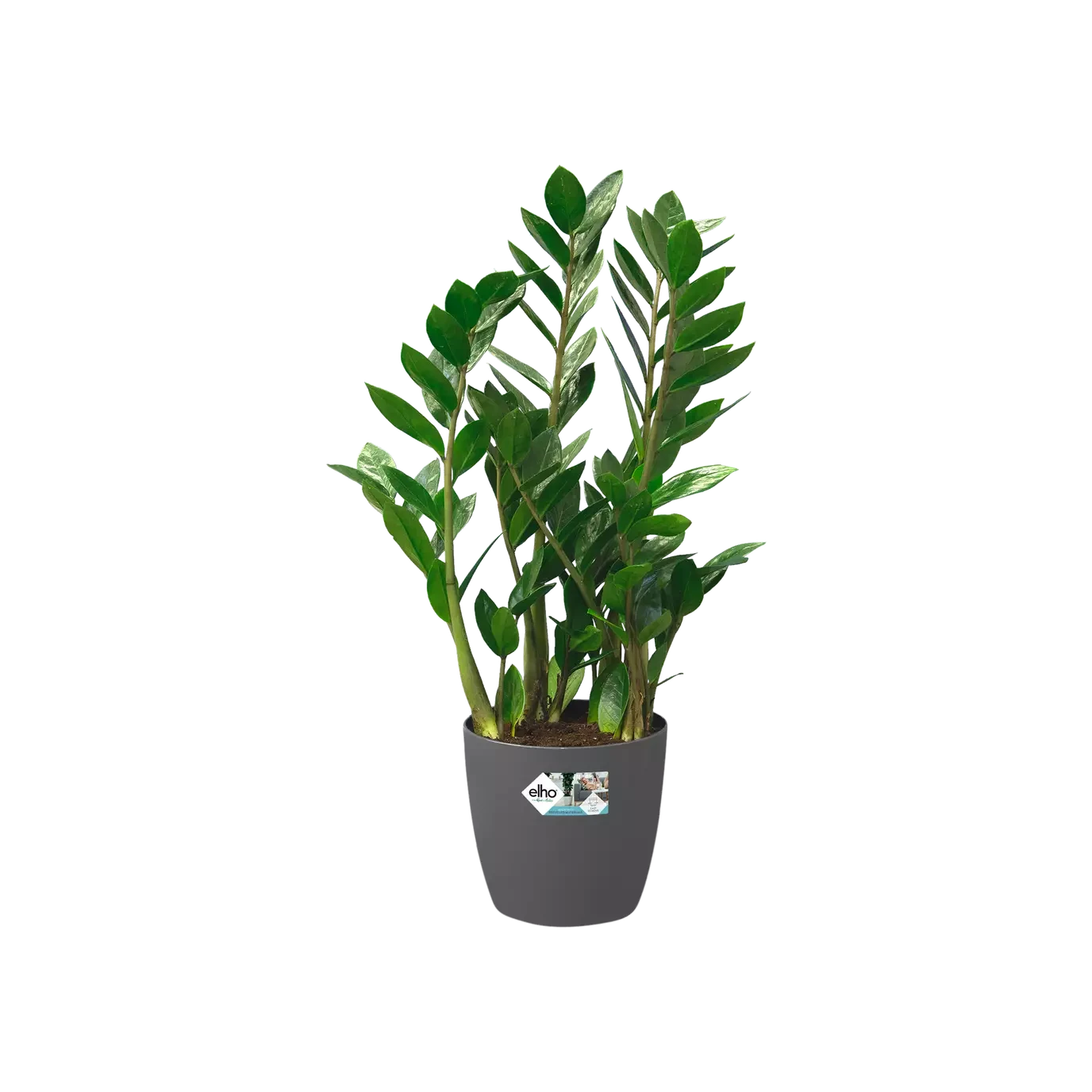 Brussels Round Plant Pot 25cm 3 Brussels Round Plant Pot 25cm - Image 3