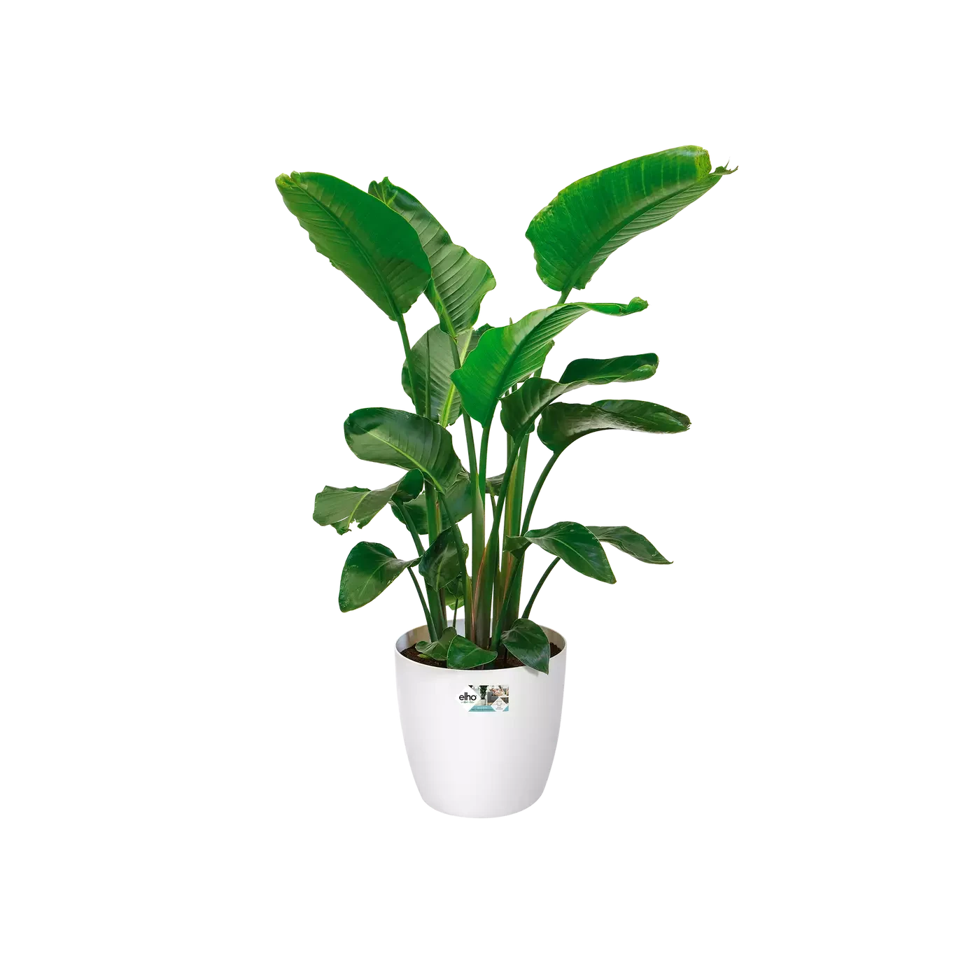 Brussels Round Plant Pot 25cm 2 Brussels Round Plant Pot 25cm - Image 2