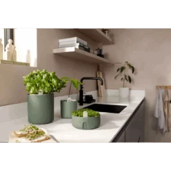 Bouncy Basil Grow Pot Leaf Green 17cm -Plant Sale Store gyo indoor leaf green i1 jpg