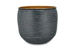 Ficus Benghalensis & Pot 'Petite Audrey' (Bengal Fig) -Plant Sale Store nkuku tembesi etched planter antique black brass 5055672403449 23545677807792