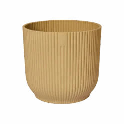 Baby Mexican Fortune Tree Or Pachira Aquatica & Vibes Pot 16 Baby Mexican Fortune Tree Or Pachira Aquatica & Vibes Pot -Plant Sale Store vibes fold rond butter yellow p1 png