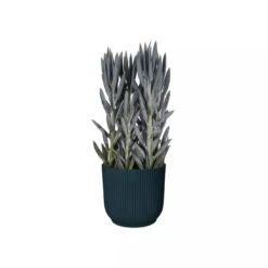 Vibes Fold Round 16cm Deep Blue -Plant Sale Store vibes fold rond deep blue n2 jpg