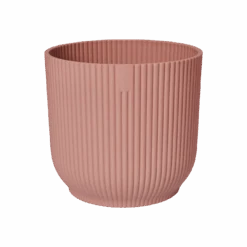 Baby Mexican Fortune Tree Or Pachira Aquatica & Vibes Pot 17 Baby Mexican Fortune Tree Or Pachira Aquatica & Vibes Pot -Plant Sale Store vibes fold rond delicate pink p1 png