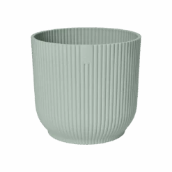 Epipremnum Global Green (Devil's Ivy) & Vibes Pot 16 Epipremnum Global Green (Devil's Ivy) & Vibes Pot -Plant Sale Store vibes fold rond sorbet green.t1.png 2 88185a19 da45 4802 a801 3437afce331b