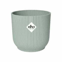 Philodendron Birkin (White Measure) & Vibes Pot -Plant Sale Store vibes fold rond sorbet green pos t1 png 57c4b994 2e04 49bd a869 22650a826e8e