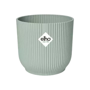 Maranta Fascinator & Vibes Pot 8 Maranta Fascinator & Vibes Pot - Image 8