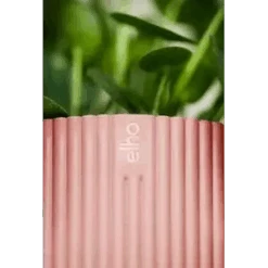 Vibes Fold Round 18cm 13 Vibes Fold Round 18cm -Plant Sale Store vibes fold round 14cm 181 i1 jpg