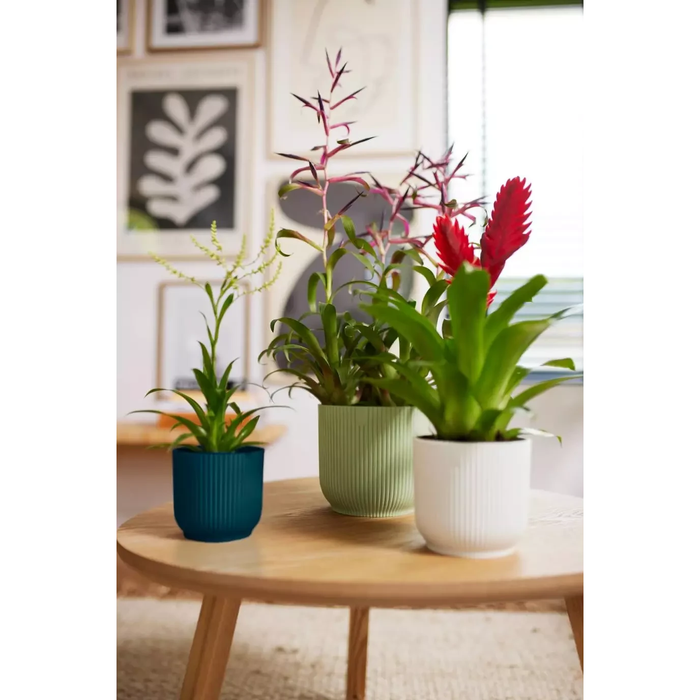 Vibes Fold Round 16cm Sorbet Green 4 Vibes Fold Round 16cm Sorbet Green - Image 4