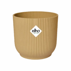 Large Chlorophytum Comosum & Pot , Spider Plant & Pot -Plant Sale Store vibes fold round butter yellow s1 png 3481b519 85e2 4621 8980 d8ea1ecee7e6