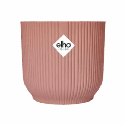 Epipremnum Global Green (Devil's Ivy) & Vibes Pot 17 Epipremnum Global Green (Devil's Ivy) & Vibes Pot -Plant Sale Store vibes fold round delicate pink s2 png d3e6fc5a c623 4fc8 94b3 f0daeb9055fb