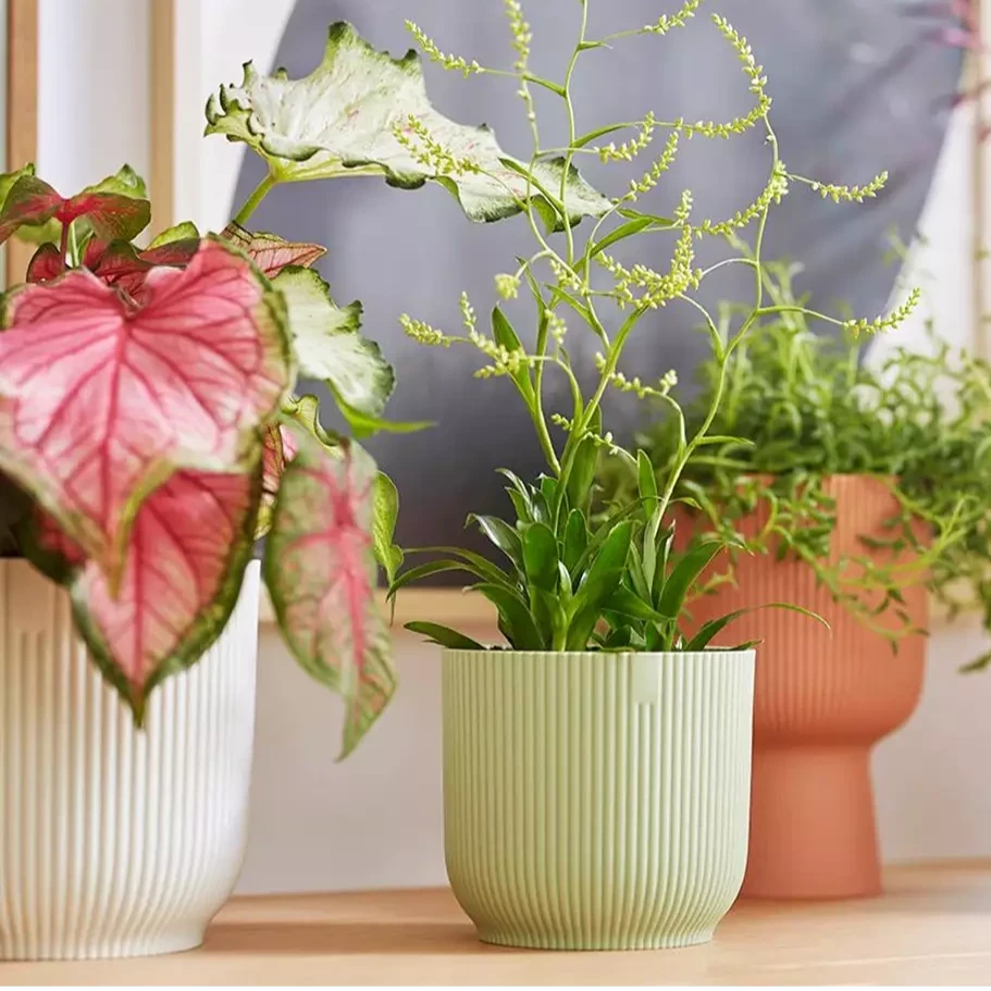 Vibes Fold Round 16cm Sorbet Green 6 Vibes Fold Round 16cm Sorbet Green - Image 6