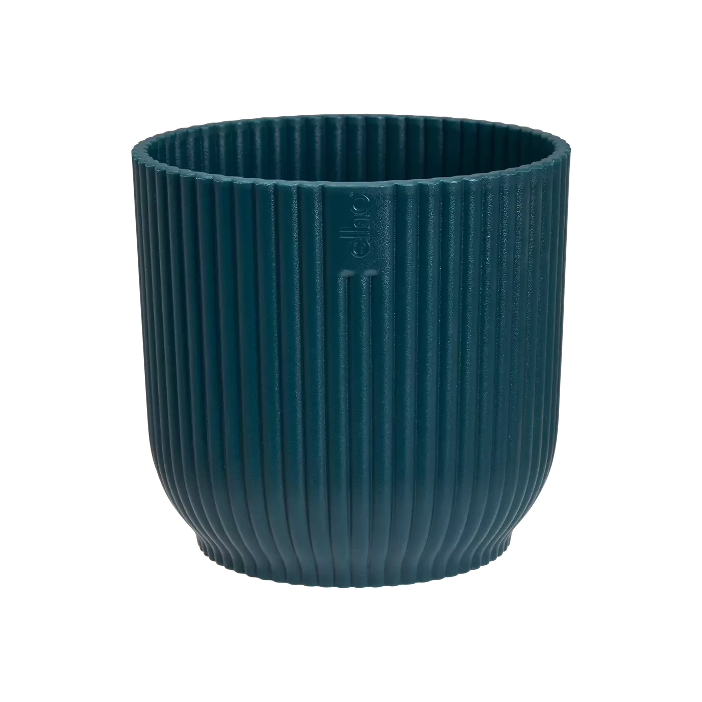 Strelitza Nicolai - White Bird Of Paradise And Vibes Pot 5 Strelitza Nicolai - White Bird Of Paradise And Vibes Pot - Image 5