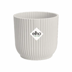 Syngonium White Butterfly And Vibes Pot -Plant Sale Store vibes fold round mini silky white s1 png 90fff5aa 087e 4073 b0bb 548c012ebafc