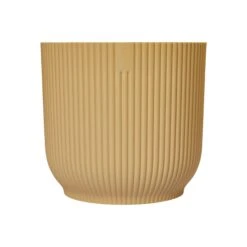 Maranta Kerchoveana (Prayer Plant) & Vibes Pot -Plant Sale Store vibesfoldroundButterYellow 30b6d188 5cde 4dc3 9f3e f3a04afc7dc0